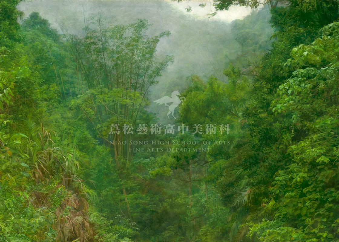 山林雲霧